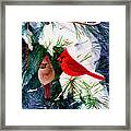 Greeting Cardinals Framed Print