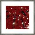 Greeting Season. Abstract Art.  Ruby And Pearl Design Framed Print