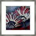 Grey And Pink Daisies Framed Print