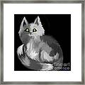Grey Cat Framed Print