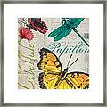 Grey Postcard Butterflies 3 Framed Print