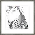Grey Tiger Cat Framed Print