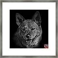 Greyscale Shiba Inu Dog Art - 8555 - Bb Framed Print