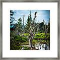 Grip Framed Print