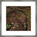 Grounded Framed Print