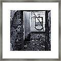 Growing Out Of Ruin Framed Print