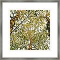 Growing Tall And Powerful Framed Print