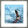 Gull On Teal Clouds Framed Print