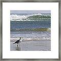 Gull With Parallel Waves Framed Print