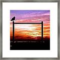 Gullpost Framed Print