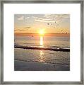 Gulls Dance In The Warmth Of The New Day Framed Print