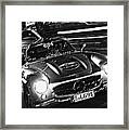 Gullwing In Rome Framed Print