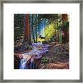 Hall Valley Moose Framed Print