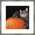 Halloween Cat Framed Print