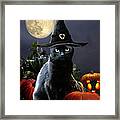 Witchy Black Halloween Cat Framed Print