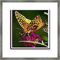 Happiness Is  Butterfly Framed Print