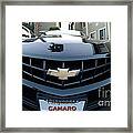 Happy Camero Framed Print