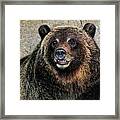 Happy Grizzly Bear Framed Print