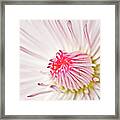 Happy Mothers Day Framed Print