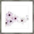 Happy Spring Framed Print