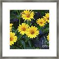 Happy Yellow Flowers Painterly Framed Print