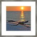Harry The Heron Takes Flight To Reposition His Guard Over Navarre Beach At Sunrise Framed Print