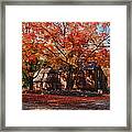 Hartwell Tavern Under Canopy Of Fall Foliage Framed Print