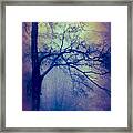 Haunted Branches Framed Print