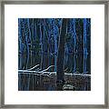 Haunted Forest Framed Print