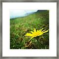 Have The Courage To Stand Alone When Framed Print