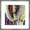 Hawaiian Leis Framed Print