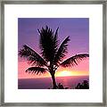 Hawaiian Sunset And Palm Framed Print
