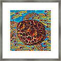 Hawksbill Sea  Turtle And  Snappers Framed Print