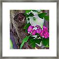 Hawthorn Romance Framed Print