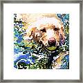 Head Above Water Framed Print