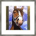 Head Of A Horse Framed Print