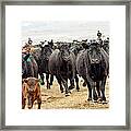 Headed For Branding Framed Print