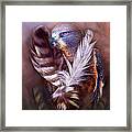 Heart Of A Hawk Framed Print