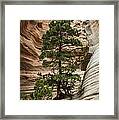 Heart Of The Canyon Framed Print