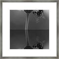 Heaven Glow Reflection Framed Print