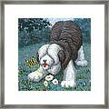 Hector Hassels A Butterfly Framed Print