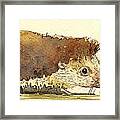 Hedgehog Framed Print