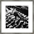 Hedy Lamarr In Samson And Delilah Framed Print