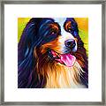Colorful Bernese Mountain Dog Painting Framed Print by Michelle Wrighton