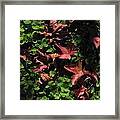 Heightened Awareness Framed Print