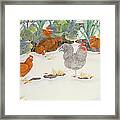Hens In The Vegetable Patch Framed Print
