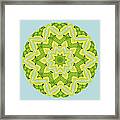 Here Birdie Birdie Mandala Framed Print