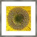 Here Comes The Sun.... Framed Print