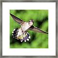 Here's Looking At You Framed Print