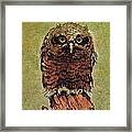 Here's Looking At You Framed Print